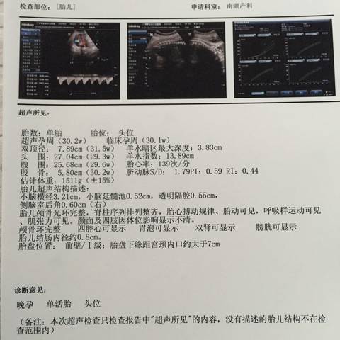 journal_insert_pic_598235150