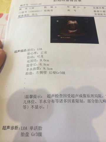 journal_insert_pic_598841230