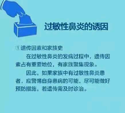journal_insert_pic_599909080
