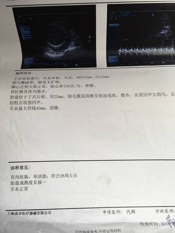 journal_insert_pic_600509387