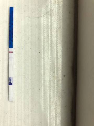 journal_insert_pic_601567157