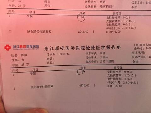 journal_insert_pic_602934787