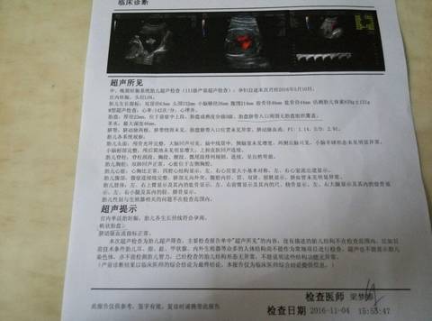 journal_insert_pic_603212540