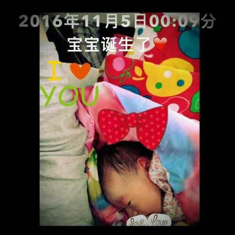 journal_insert_pic_605858494