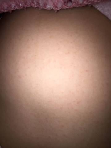 journal_insert_pic_606671236
