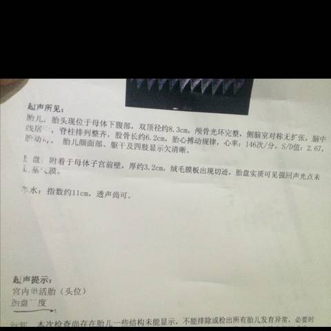 journal_insert_pic_608098642