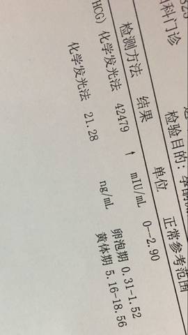 journal_insert_pic_608666980