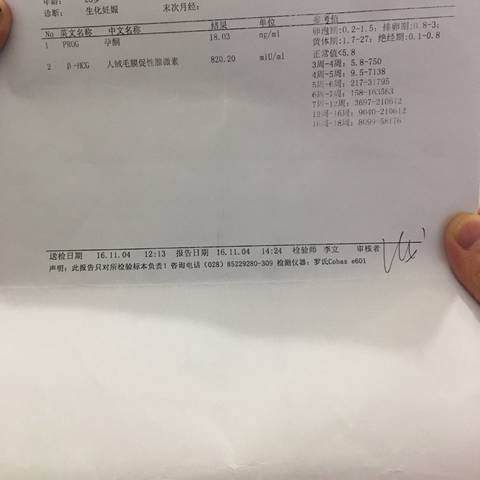 journal_insert_pic_608781335