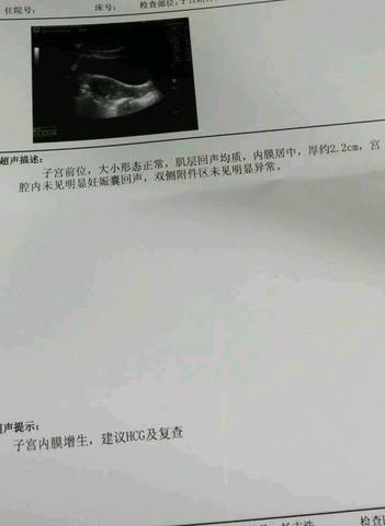 journal_insert_pic_609183975