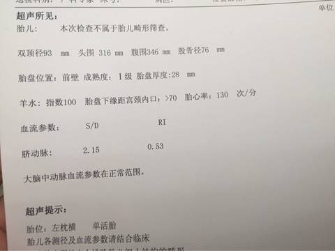 journal_insert_pic_609622322