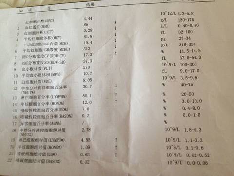 journal_insert_pic_609688793