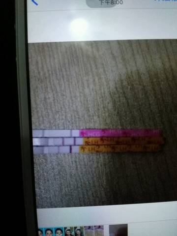journal_insert_pic_610517202