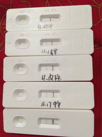 journal_insert_pic_610705379