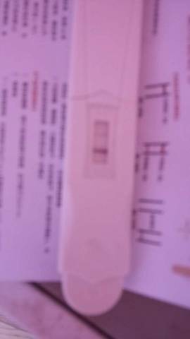 journal_insert_pic_612121501