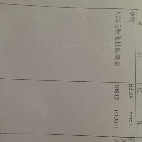 journal_insert_pic_612094497