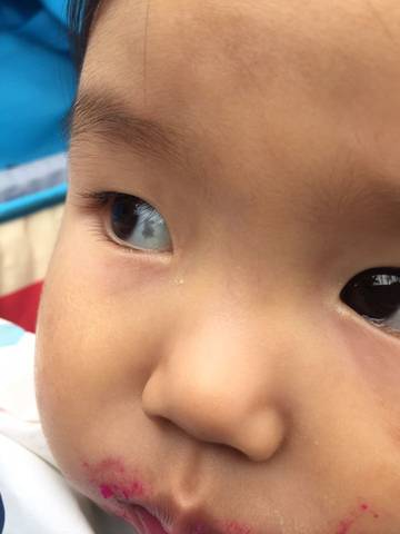 journal_insert_pic_612239803