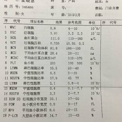journal_insert_pic_612067876