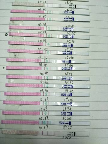 journal_insert_pic_612809930