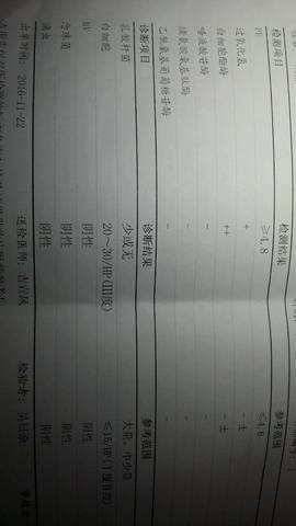 journal_insert_pic_613091281