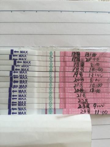 journal_insert_pic_614041724