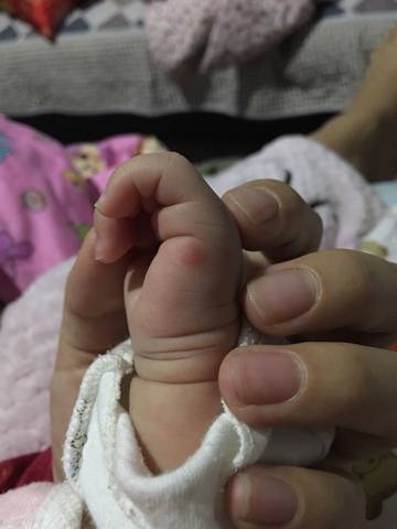journal_insert_pic_613953452