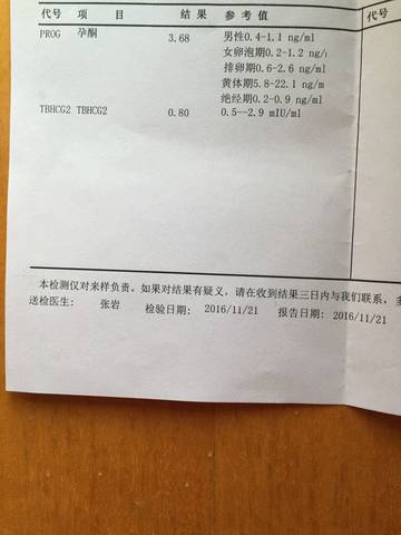 journal_insert_pic_614401565