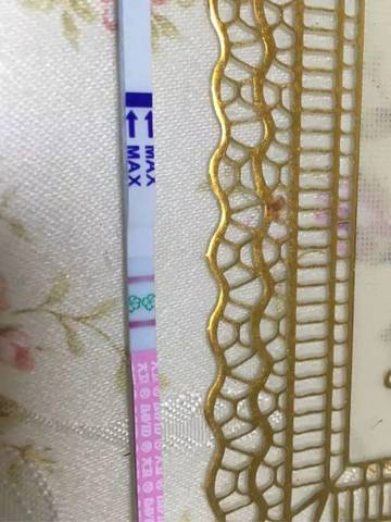 journal_insert_pic_615415804