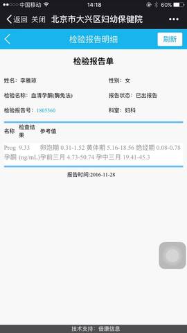 journal_insert_pic_616543297