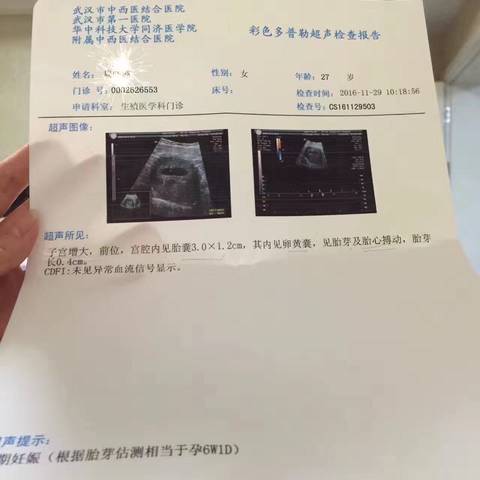 journal_insert_pic_617548861