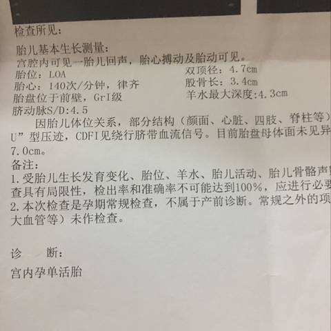 journal_insert_pic_617741584