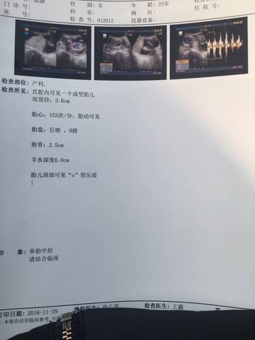 journal_insert_pic_618143321