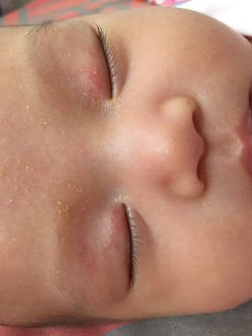 journal_insert_pic_618154844