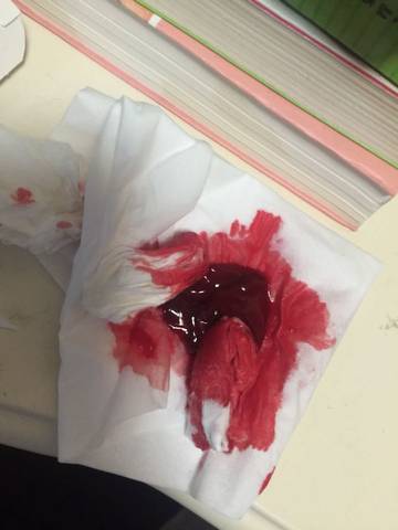 journal_insert_pic_620143033