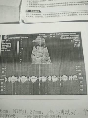 journal_insert_pic_620418490
