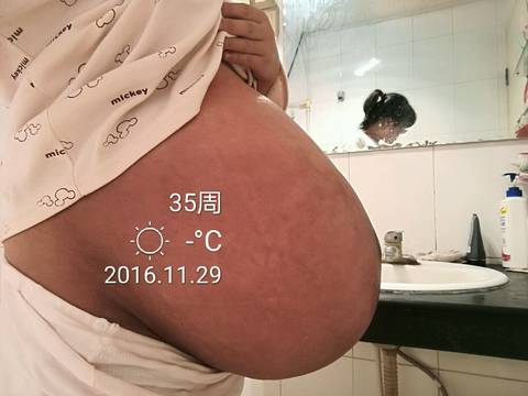 journal_insert_pic_620781115