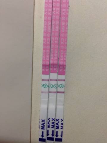 journal_insert_pic_620955721