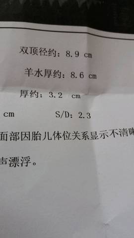 journal_insert_pic_621129572