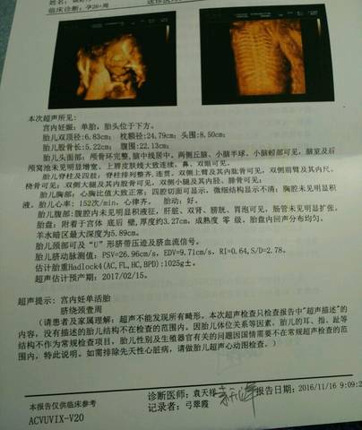 journal_insert_pic_622029350