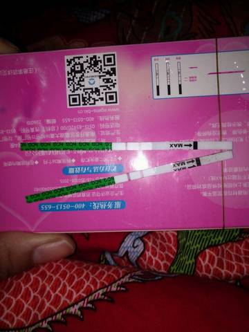 journal_insert_pic_622487566