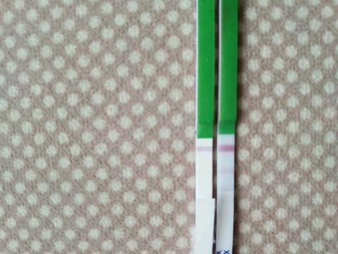 journal_insert_pic_622116978