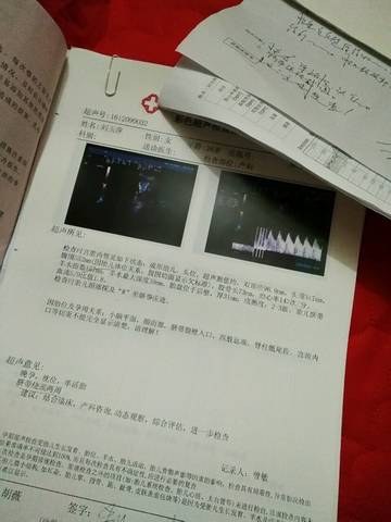 journal_insert_pic_623069966