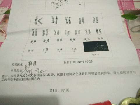 journal_insert_pic_624223547