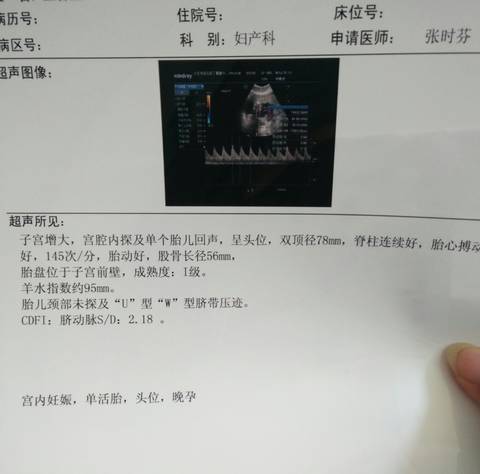 journal_insert_pic_624726184