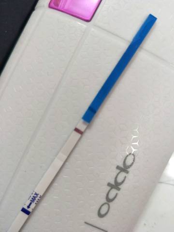 journal_insert_pic_625726989