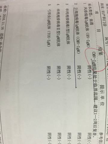journal_insert_pic_626533475