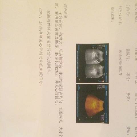 journal_insert_pic_626841032