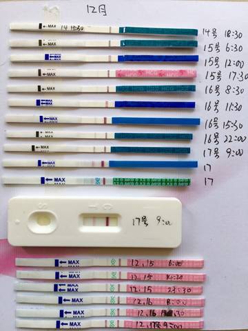 journal_insert_pic_627518833