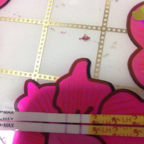 journal_insert_pic_627767310