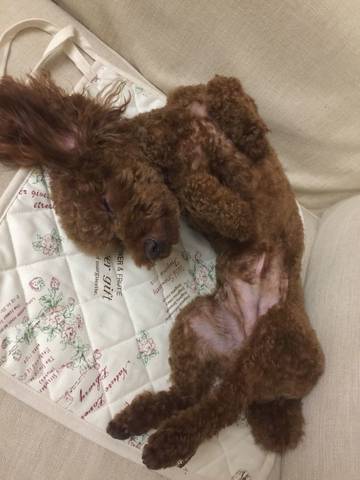 journal_insert_pic_627890052