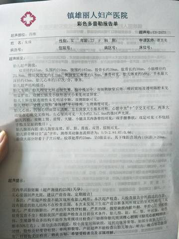journal_insert_pic_628356956